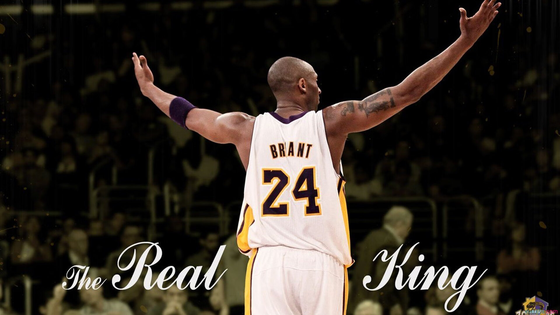 奇亚拉·佩拉卡尼与马泰奥·桑托罗完美诠释团队力量